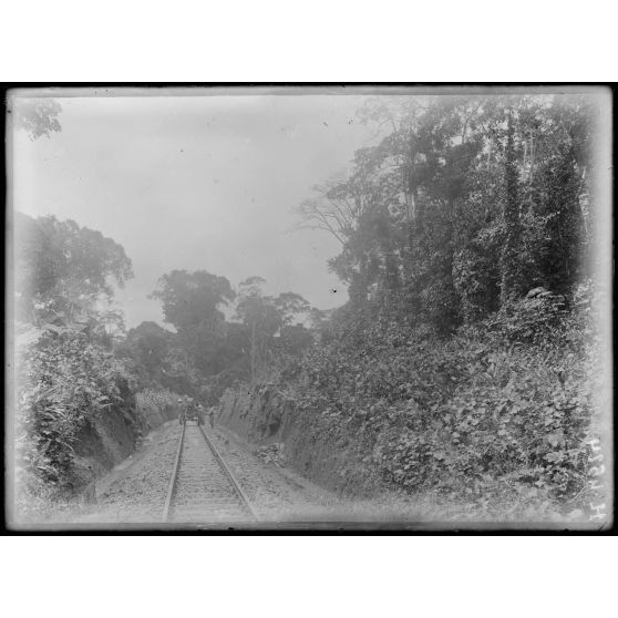 So Dibanga. La voie dans la forêt vierge, au kilomètre 115,5. [légende d'origine]