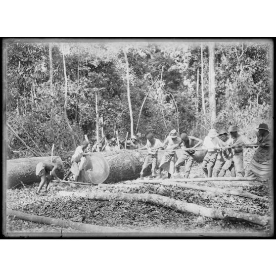 Kompina. Trainage de billes de bongassi. [légende d'origine]