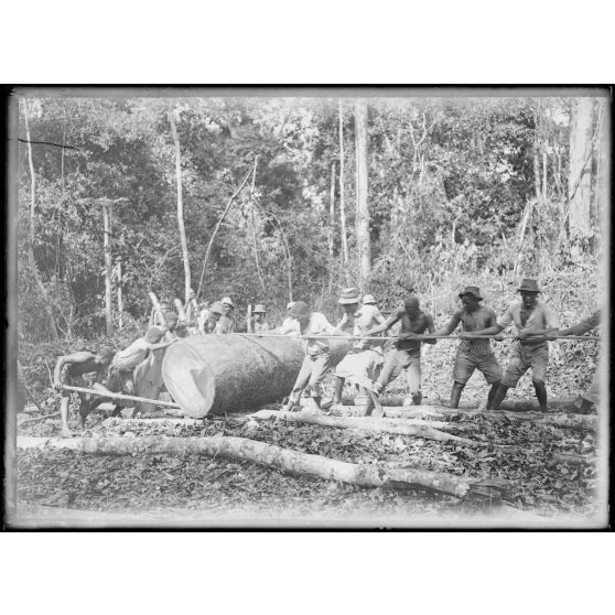 Kompina. Trainage de billes de bongassi. [légende d'origine]