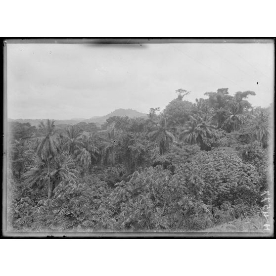 Chemin de fer du Nord. Aspect de la contrée au kilomètre 143 : palmiers à huile, kombo-kombo et mamelons herbeux. [légende d'origine]