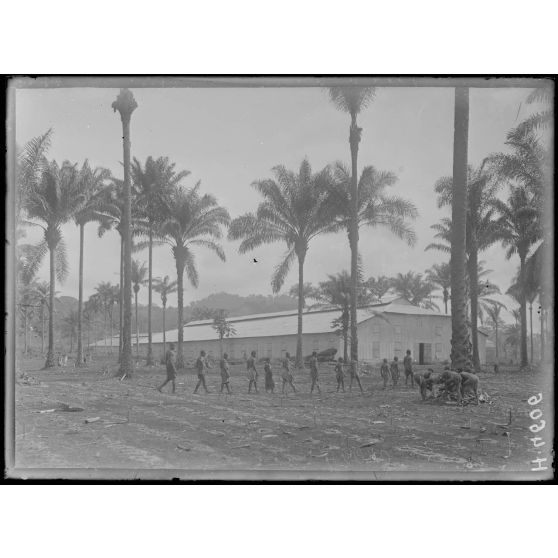 Djombé. Deux grands séchoirs de tabac. [légende d'origine]