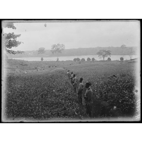 Edéa. Un boyau conduisant à la Sanaga. [légende d'origine]