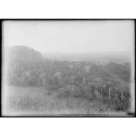 Djongo. Vue panoramique prise au sommet de la montagne Pelée sur la forêt vierge. [légende d'origine]