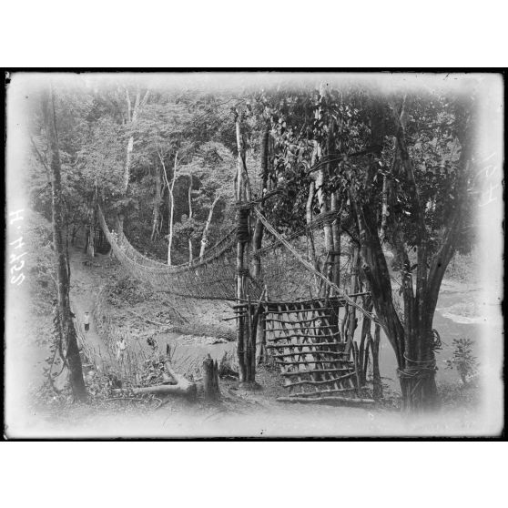 Ekom. Pont de lianes sur le Nkam. [légende d'origine]