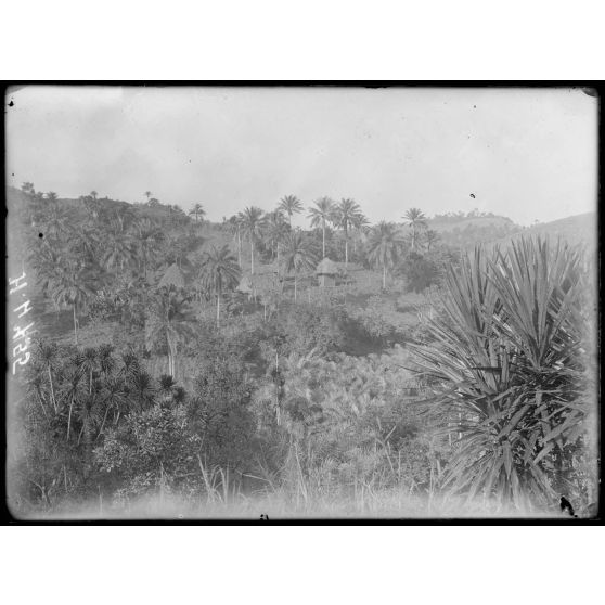 Route de Fongang à Bana. Aspect du pays. [légende d'origine]