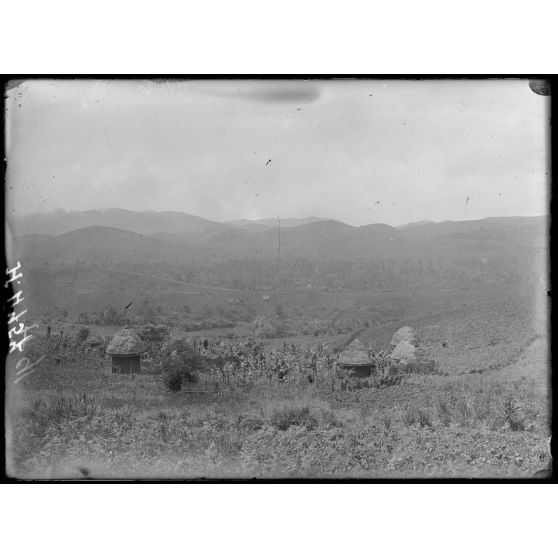 Route de Fongang à Bana. Aspect du pays. [légende d'origine]