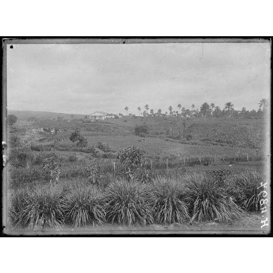 Baré. Vue générale vers le nord. [légende d'origine]
