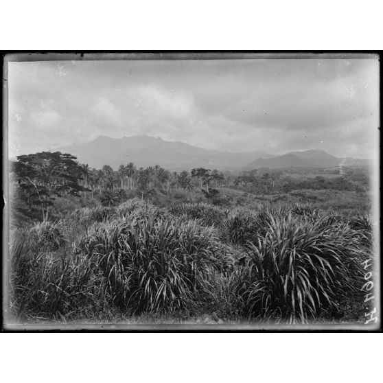 Baré. Cratères des contreforts nord-est du Manengouba. [légende d'origine]