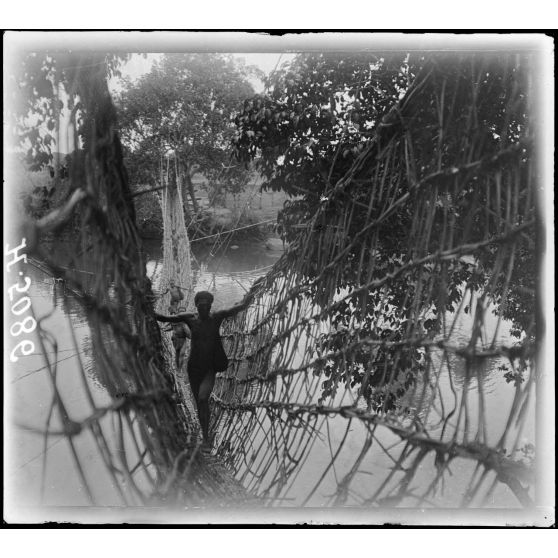 Route de Foumban, région du Noun. Indigènes traversant le Noun sur le pont de lianes. [légende d'origine]