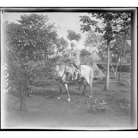 Foumban. Le sultan à cheval. [légende d'origine]