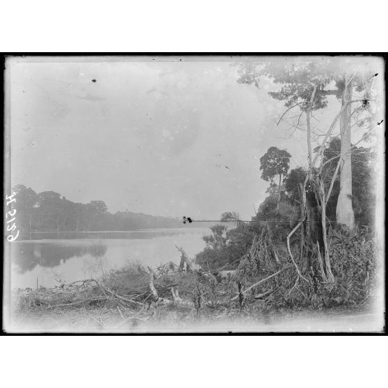 Rives de la Bongola. N'Doua, aspect des rives. [légende d'origine]