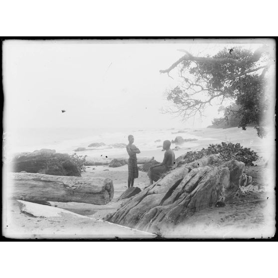 Piste de Kribi à Campo. Aspect du littoral, végétation, roches et arbres morts. [légende d'origine]