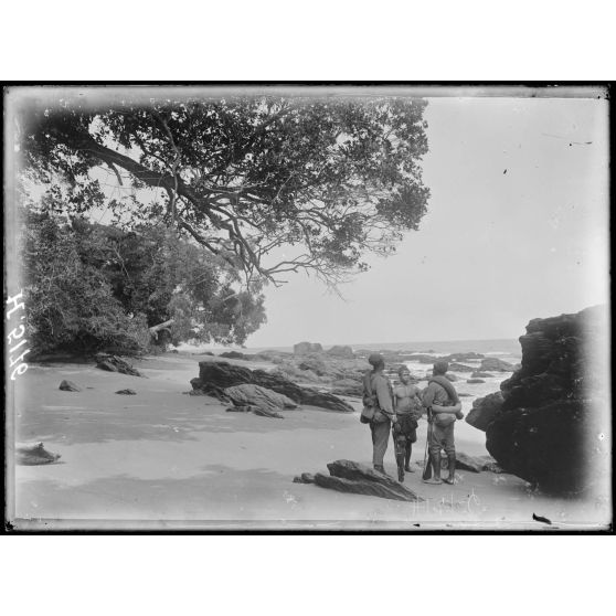 Piste de Kribi à Campo. Autre aspect du littoral. [légende d'origine]