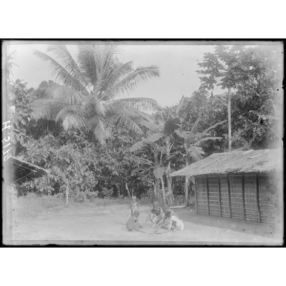 Piste de Kribi à Campo. Ebodié. Cultures autour des cases, cocotiers, cacaoyers, bananiers. [légende d'origine]