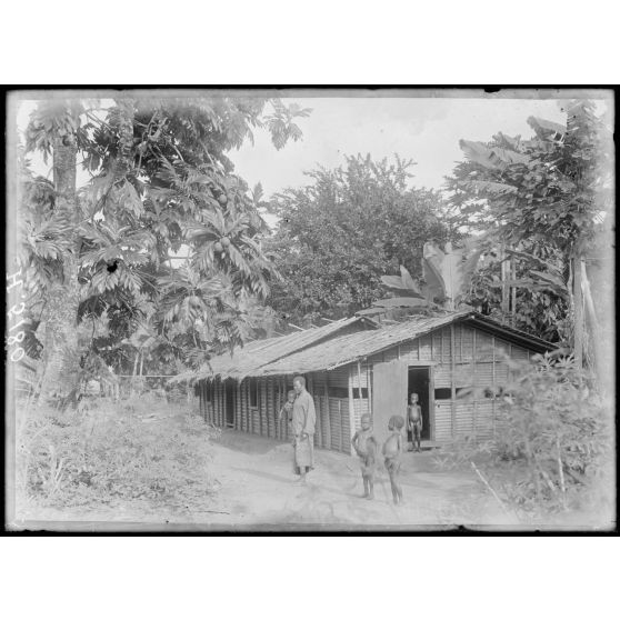 Piste de Kribi à Campo. Ebodié. Cultures autour des cases, jacquiers, orangers. [légende d'origine]