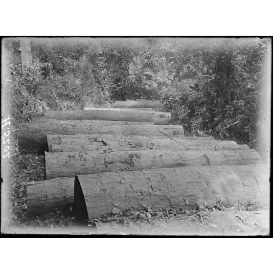 Fleuve Campo. Ancienne exploitation allemande de bois. 250 grosses billes de zaminguila et de bois rouge du commerce le long des berges du fleuve. [légende d'origine]