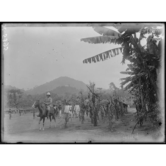 Route de Lolodorf à Kribi. Aspect de la contrée à 2 km de Lolodorf. [légende d'origine]