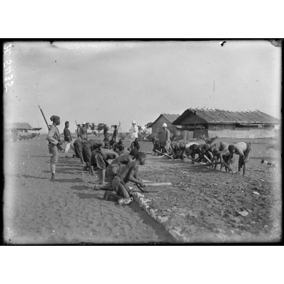 Campo. Construction d'une route au poste de Campo. [légende d'origine]