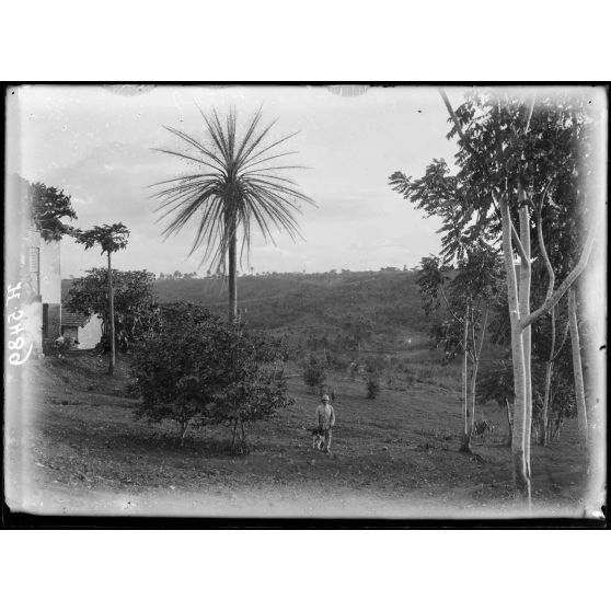 Yaoundé. Aspect de la contrée (ouest). [légende d'origine]