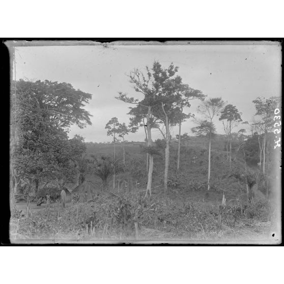 Yaoundé. M'vogo-Betzi. Village de ségrégation de lépreux. [légende d'origine]