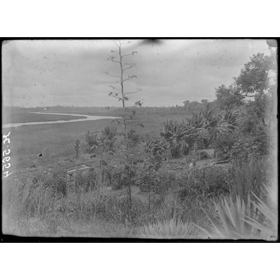 Akonolinga. Vue d'ensemble du jardin potager. [légende d'origine]