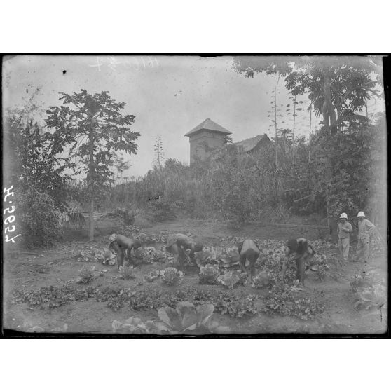 Akonolinga. Tour nord-ouest de l'enceinte du poste. [légende d'origine]