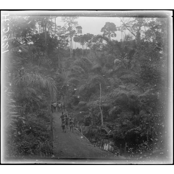 Route de Yaoundé à Akonolinga. Abanga. Aspect de la route. [légende d'origine]