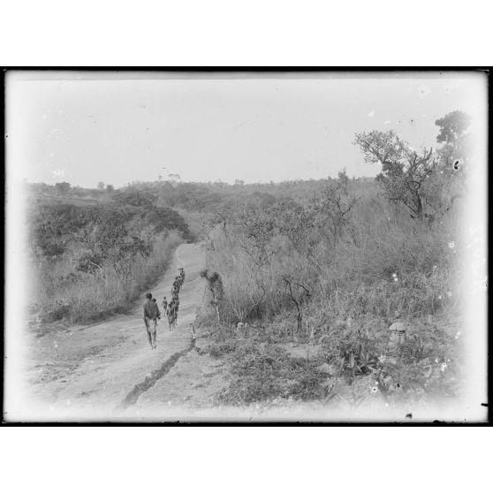 Route de Yoko à Tibati. Boudjiri, aspect de la route vers le nord. [légende d'origine]