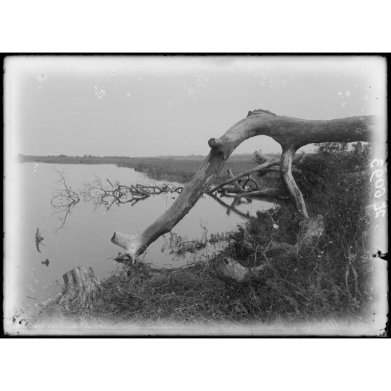 Tibati. Les berges du lac de Tibati. [légende d'origine]