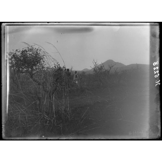 Route de N'Gaoundéré à Garoua. A 1h de Mai-Bournou, premiers contreforts du Filinga. [légende d'origine]