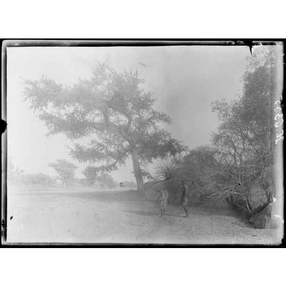Route de Garoua à Maroua. Gider. Le lit à sec du mayo Gider. [légende d'origine]