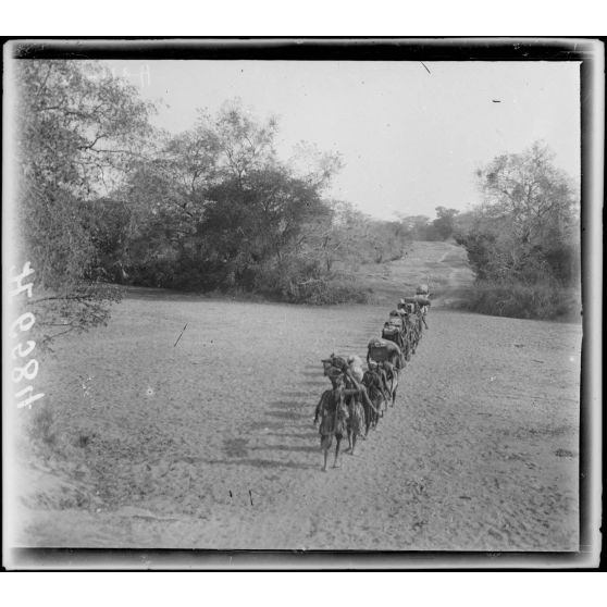 Route de Garoua à Maroua. Passage du mayo Lébri. [légende d'origine]