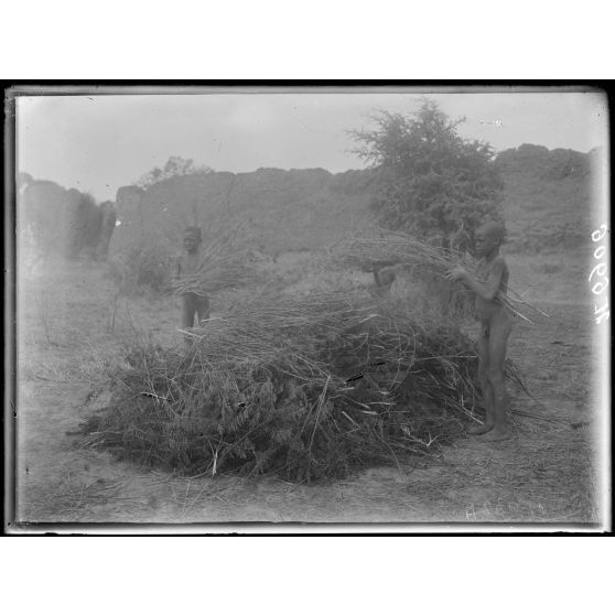 Route de Mora à Kousseri. Kala-Kafra. Récolte du "Nélé". La mis en tas pour le séchage. [légende d'origine]