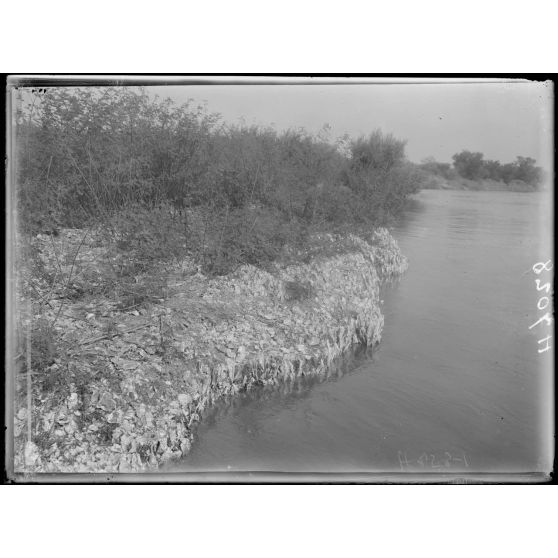 Le Chari.  8h 1/2 au nord de Goulfei. Berges formées d'huîtres fossiles. [légende d'origine]