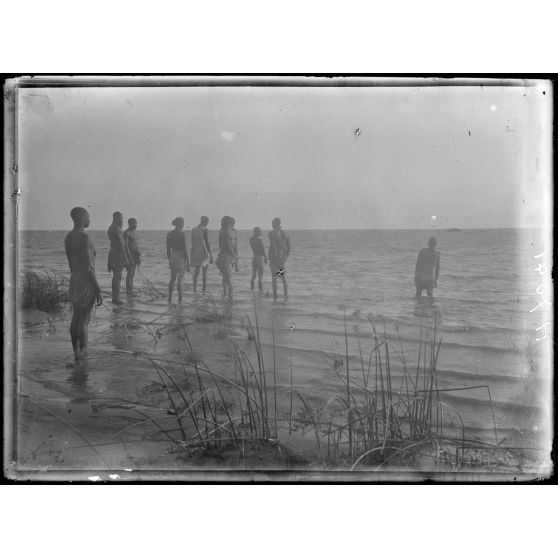 Lac Tchad. Embouchure du Chari. [légende d'origine]