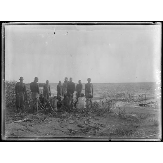 Lac Tchad.  Aspect du rivage vers l'ouest. [légende d'origine]