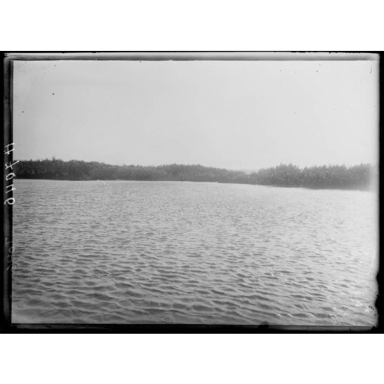 Lac Tchad. Aspect du rivage est. [légende d'origine]