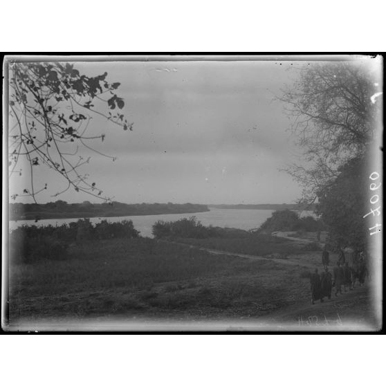 Rives du Chari. Mouloua. Vue sur le Chari et plantation de Nilé. [légende d'origine]