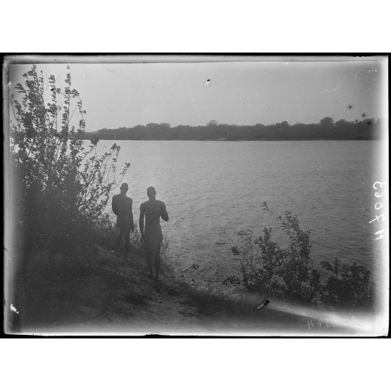 Rives du Chari. Coucher de soleil sur le Chari. [légende d'origine]