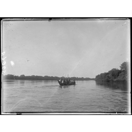 Le Logone. Aspect des berges à 2h au sud de Kousseri. [légende d'origine]