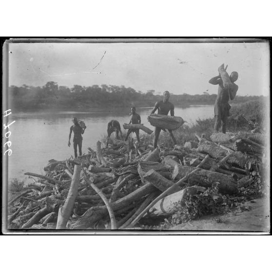 Le Logone. Exploitation de bois de chauffage le long du fleuve. [légende d'origine]