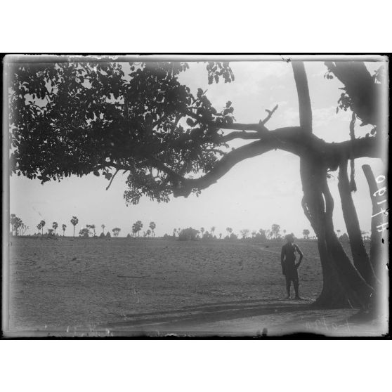 Pouss. Silhouette d'un village kirdi-massa. [légende d'origine]