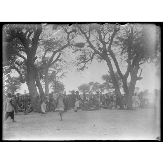 Route de Karnak-Logone à Maroua. Balasa, le marché. [légende d'origine]