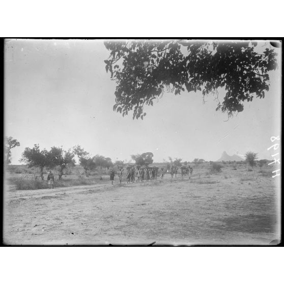 Route de Maroua à Mendif. La piste à 2h 1/2 au sud-est de Maroua. [légende d'origine]