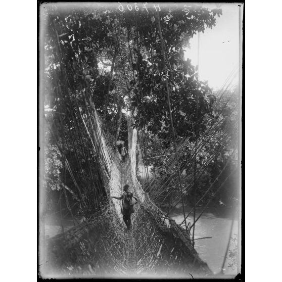 Piste de Banyo à Foumban. Le pont de lianes. [légende d'origine]