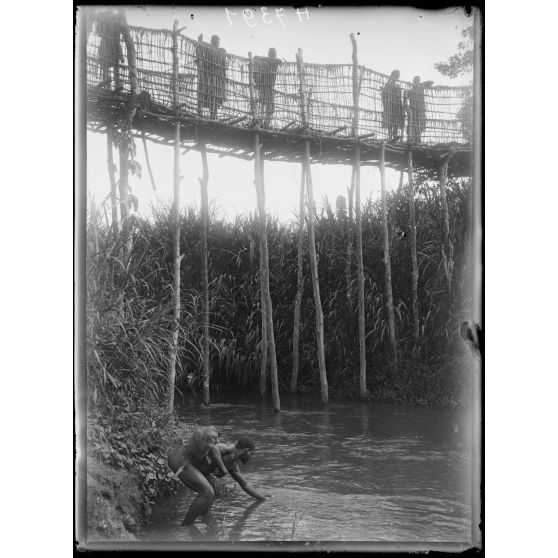 Piste de Banyo à Foumban. A 2h1/4 au sud de Ribao, le mayo Tiomi. [légende d'origine]