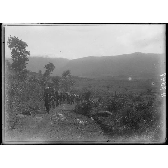 Piste de Banyo à Foumban. A 2h1/2 au sud de Ribao. Dépression du mayo Tiomi et chaîne du Mambila. [légende d'origine]