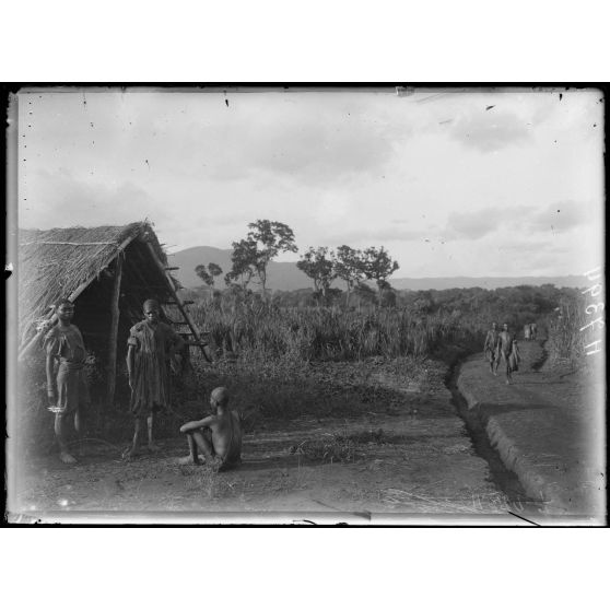 Piste de Banyo à Foumban. Lingam. La piste au campement. [légende d'origine]