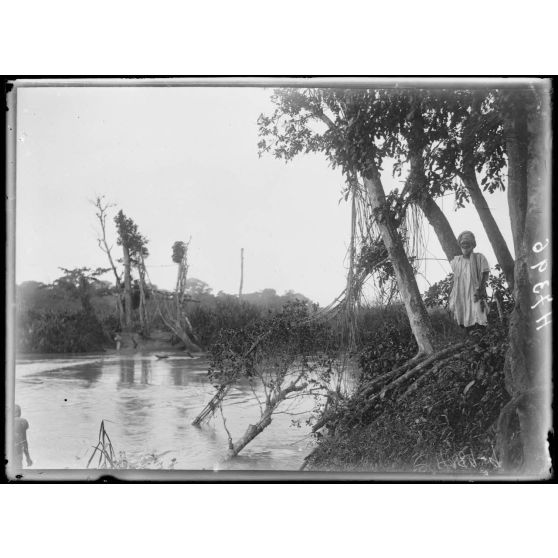 Piste de Banyo à Foumban. Le pont de lianes sur le M'Bam, emporté par les eaux. [légende d'origine]