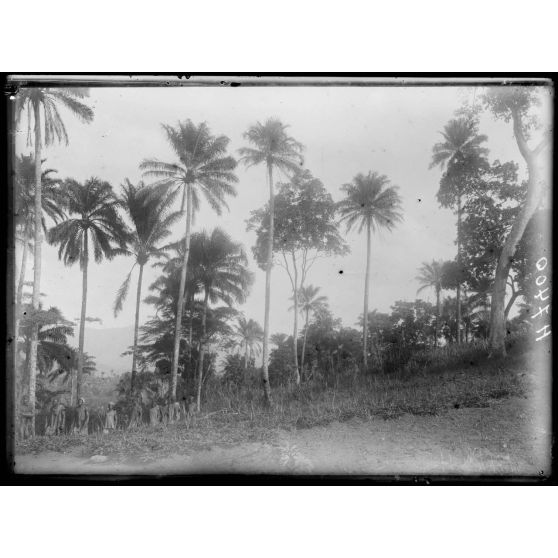 Piste de Banyo à Foumban. Matab. Aspect de la région. [légende d'origine]